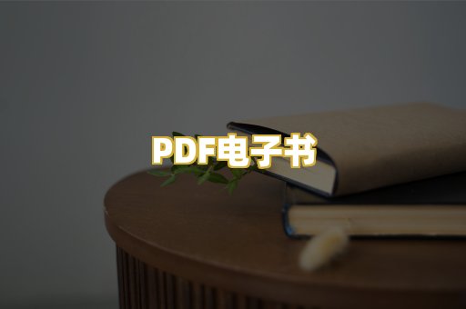PDF电子书
